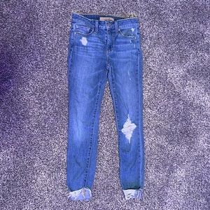 Joes Jeans